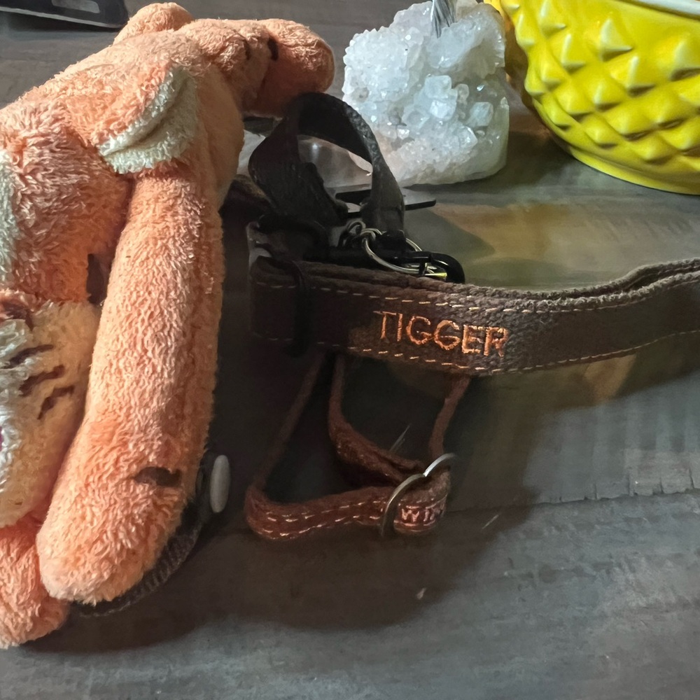 Disney Tigger Winnie The Poo Brown Cat Harness & Leash [Brand New]
